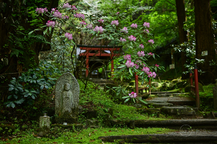 お写ん歩: 検索結果